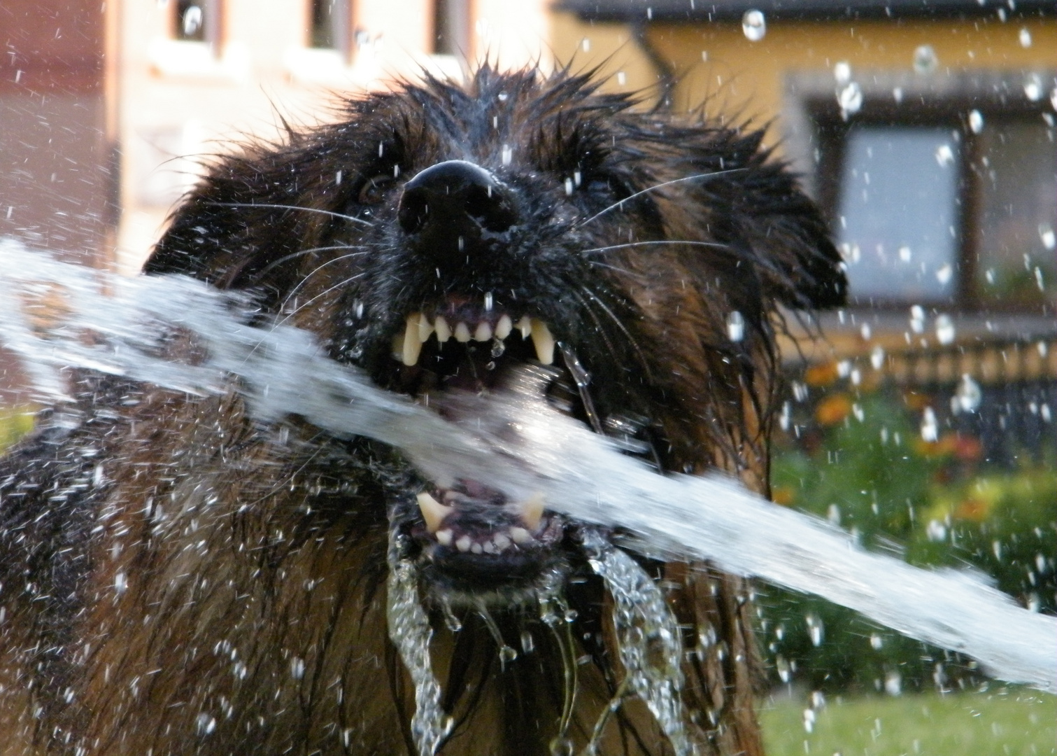 Wasserspielchen