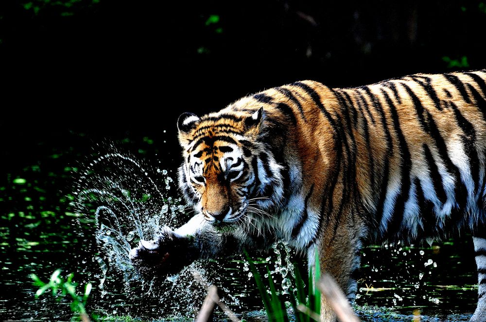 Wasserspielchen