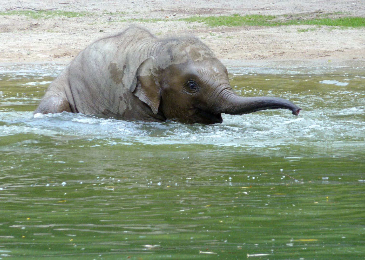 Wasserspiele