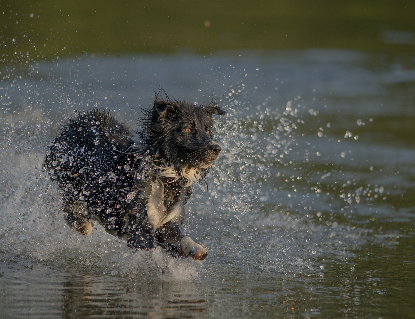 Wasserspiele