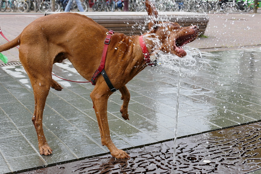 Wasserspiele