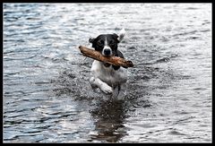 Wasserspiele 1/3 : springen