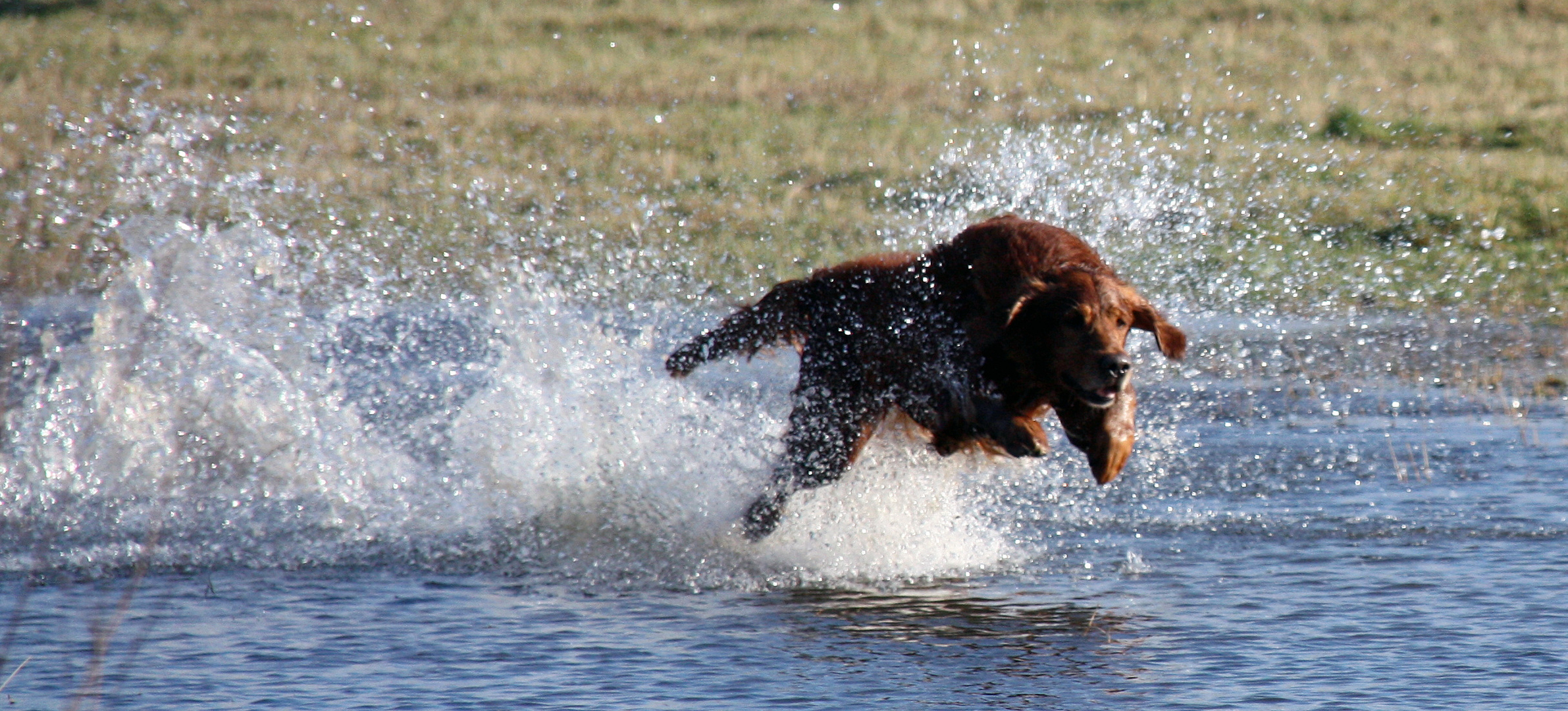 Wasserspiele