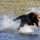 Wasserspiele