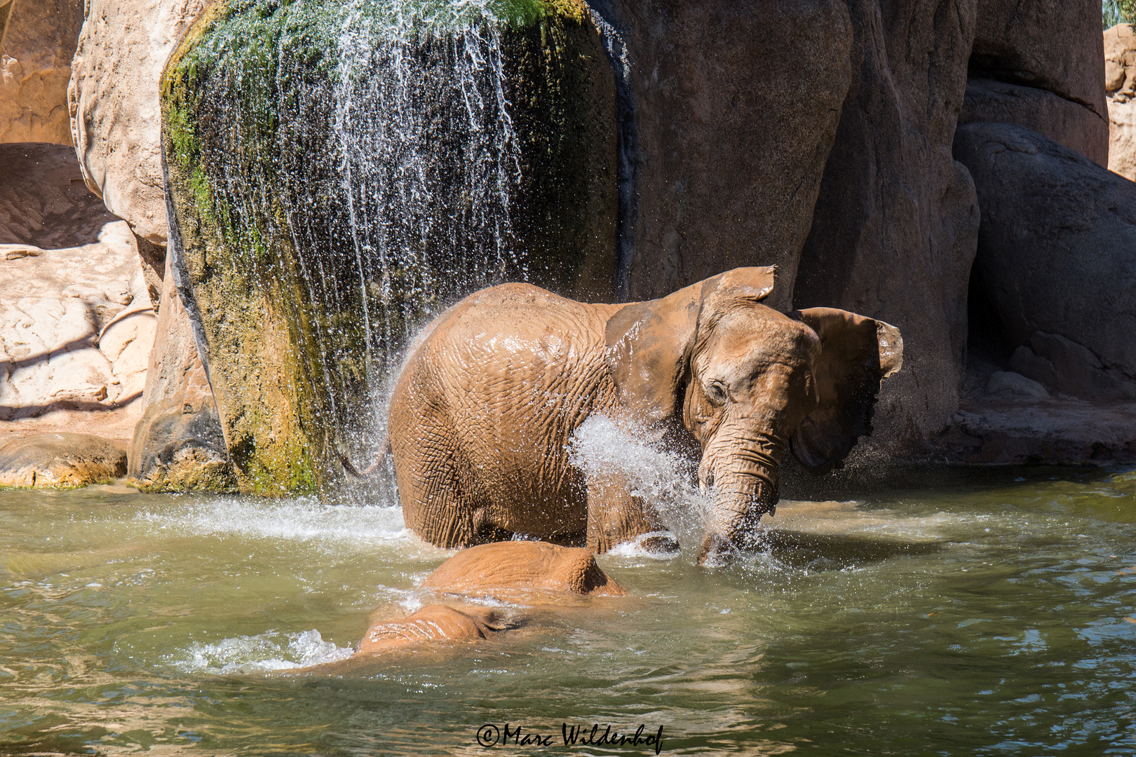 Wasserspiele