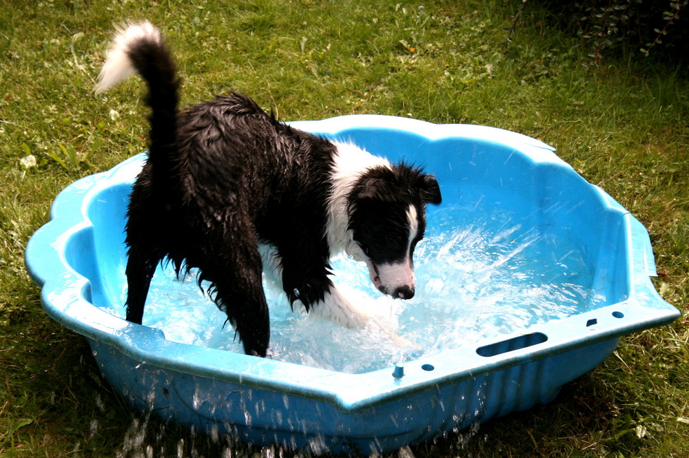 Wasserspiele 2