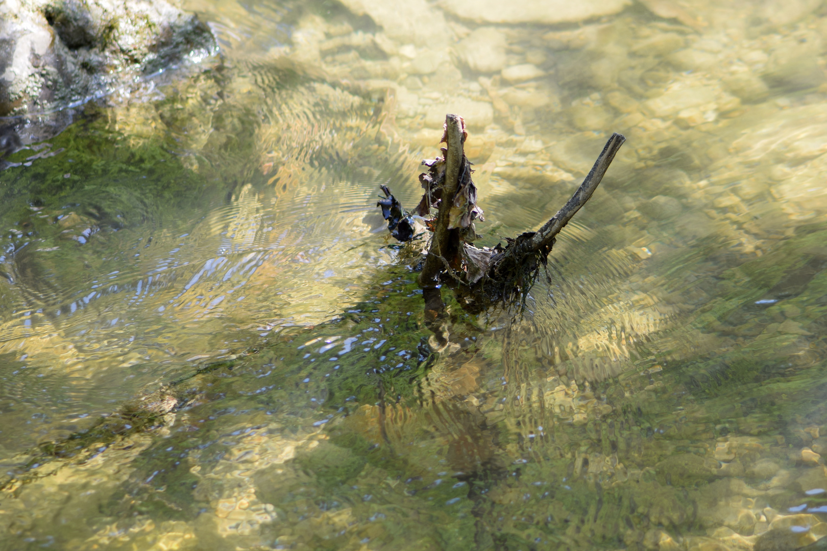 Wasserspiele 2