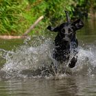 Wasserspiele-2