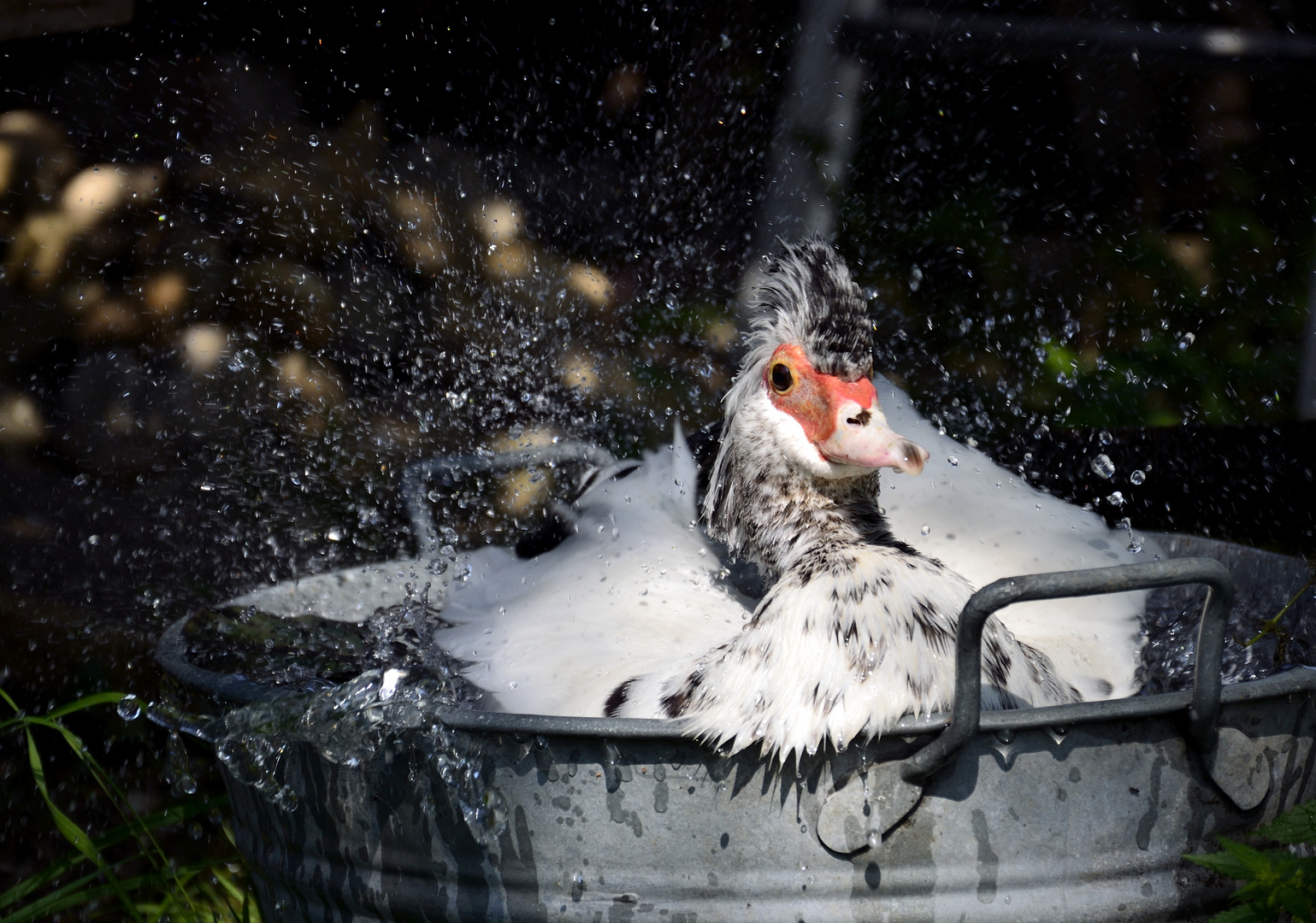 Wasserspiele