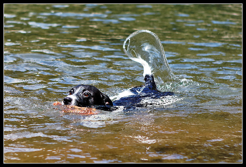 Wasserspiele 2/3 : wedeln