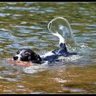 Wasserspiele 2/3 : wedeln