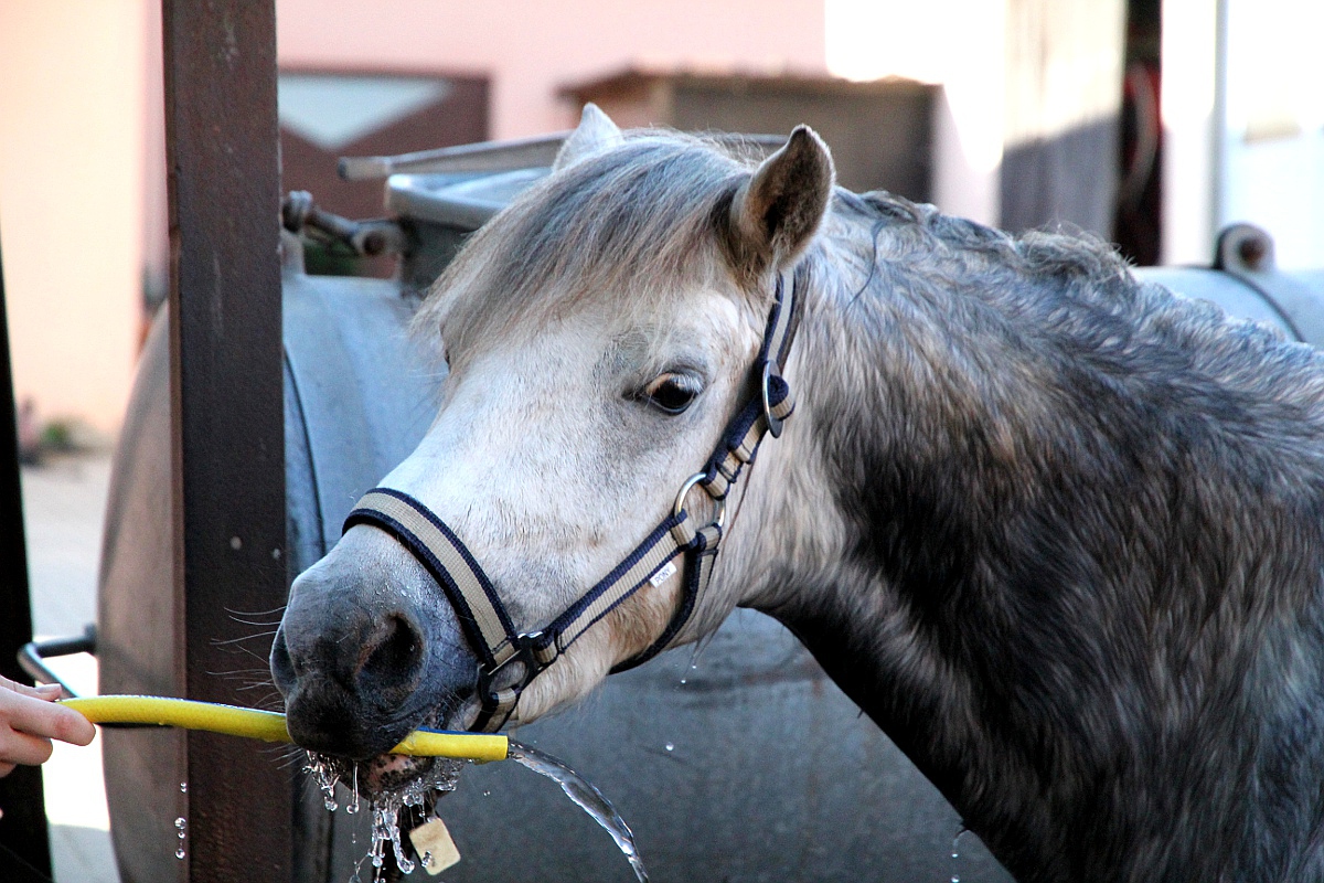 Wasserspiele