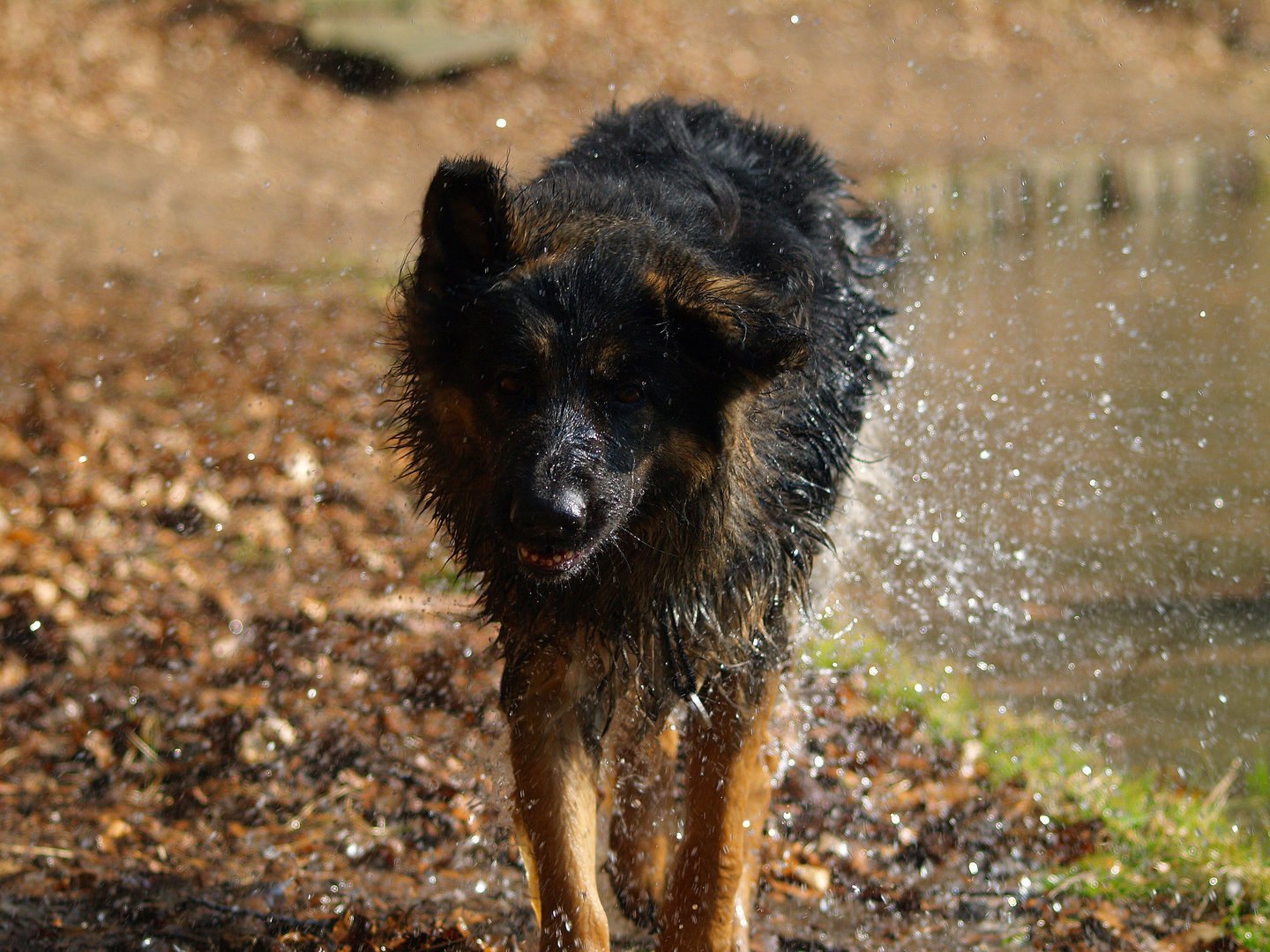 Wasserspiele