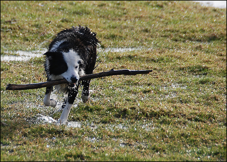 Wasserspiele