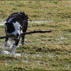 Wasserspiele