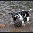 Wasserspiele 3/3 : schütteln