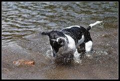 Wasserspiele 3/3 : schütteln