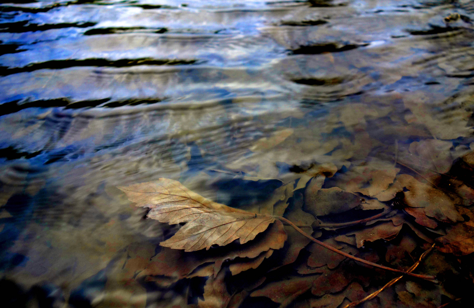 "Wasserspiele"