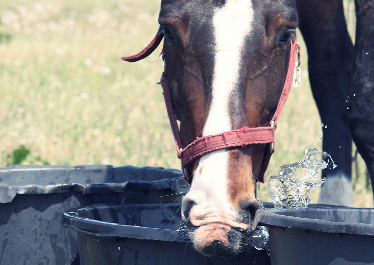 Wasserspiele