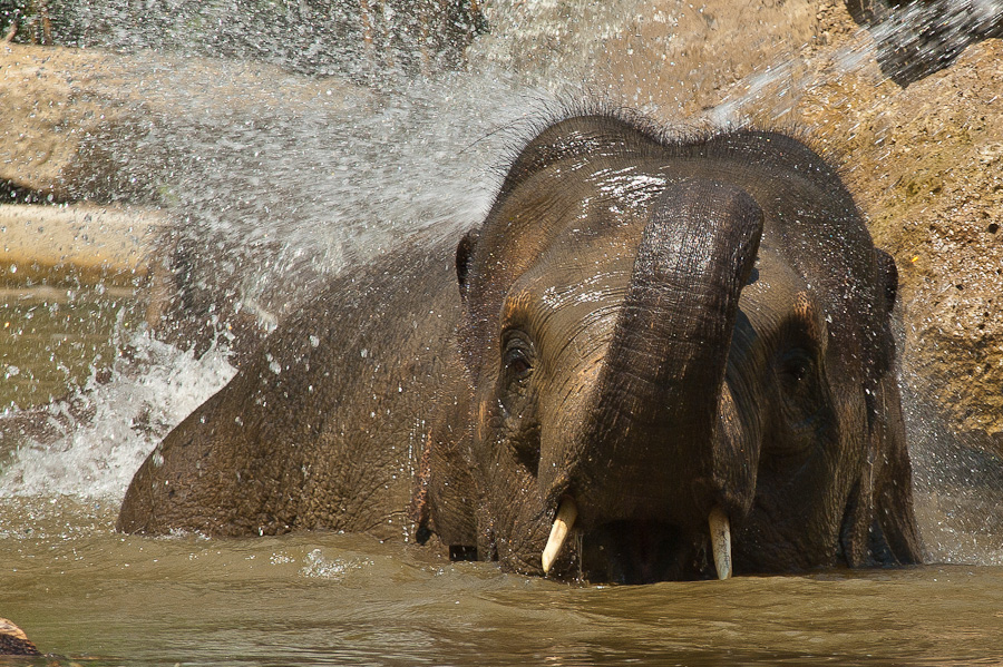 WASSERSPIELE