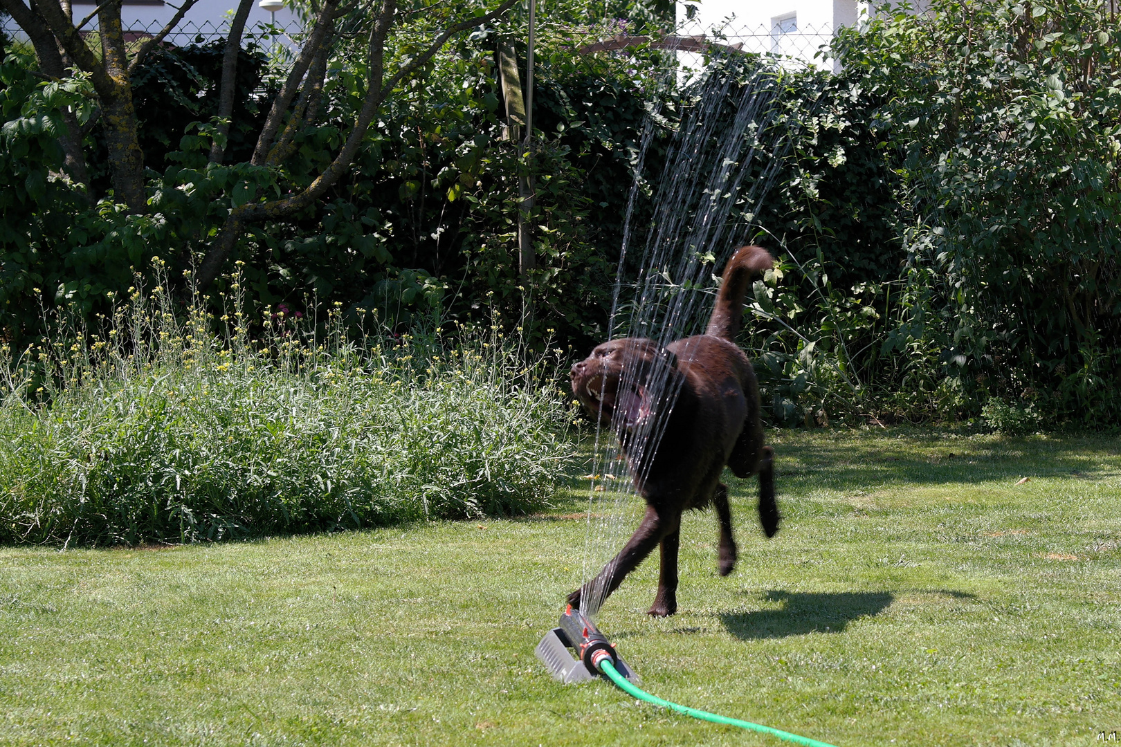 Wasserspiele 4