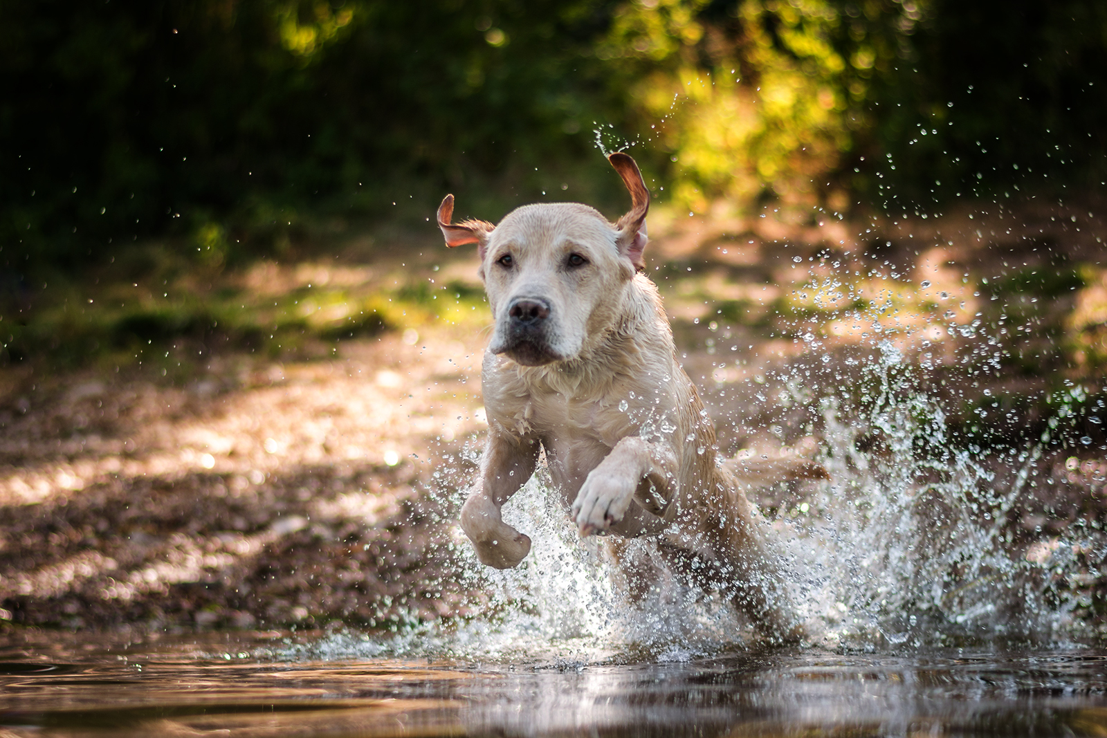 Wasserspiele 4