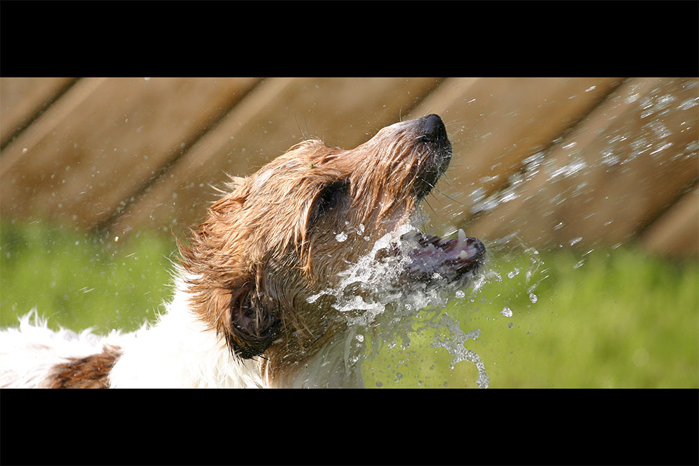 Wasserspiele