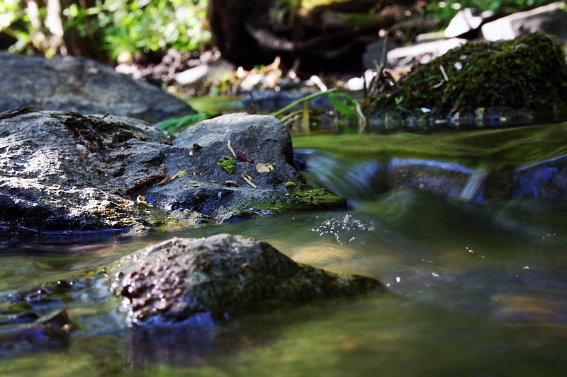 Wasserspiele.