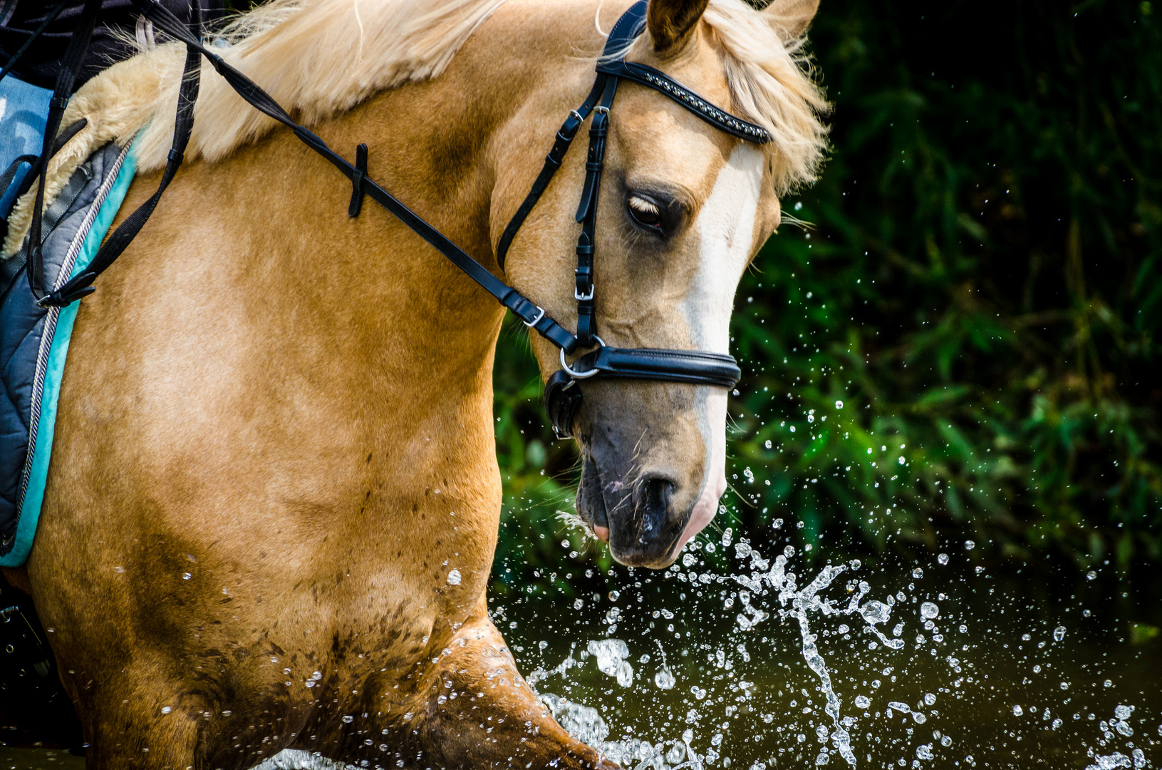 Wasserspiele