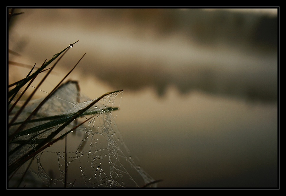 Wasserspiele