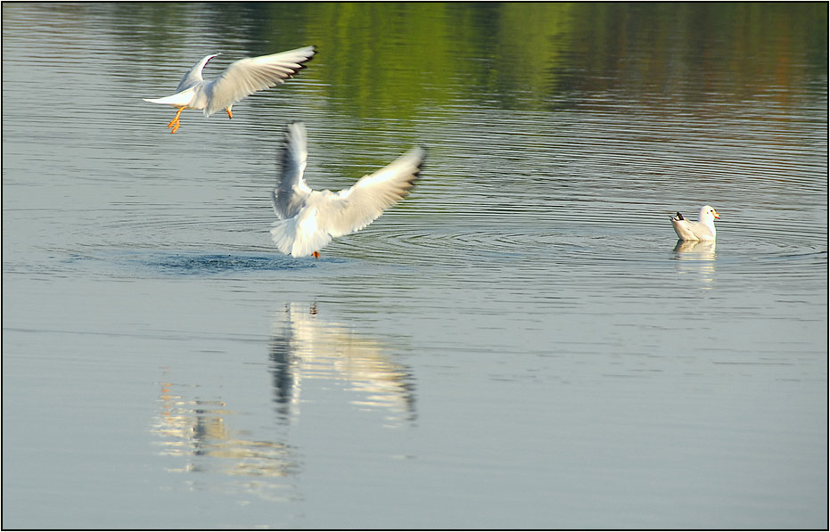 Wasserspiele