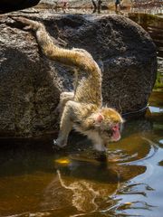 Wasserspiele 