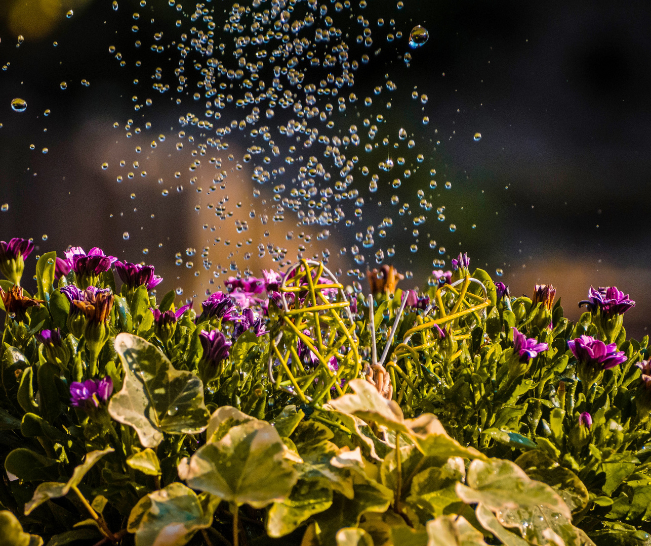 Wasserspiele