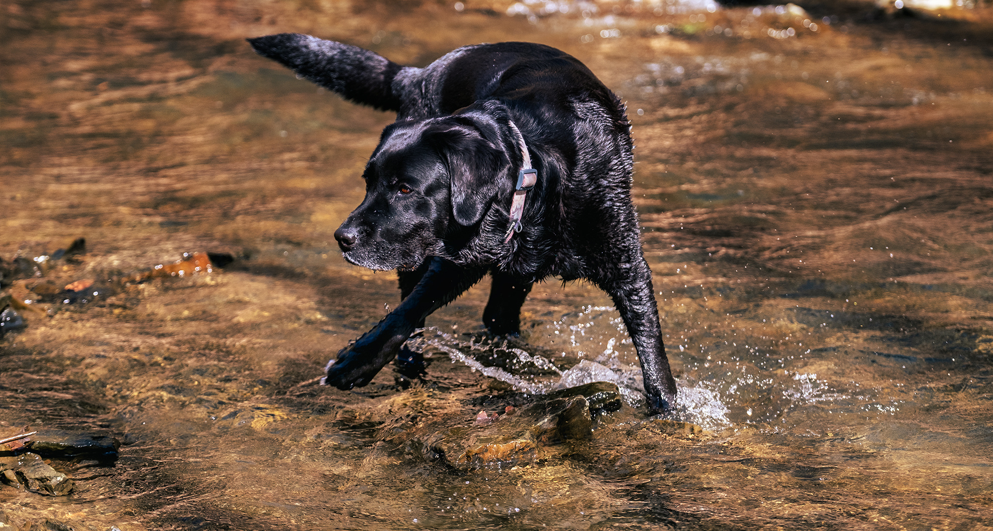 Wasserspiele