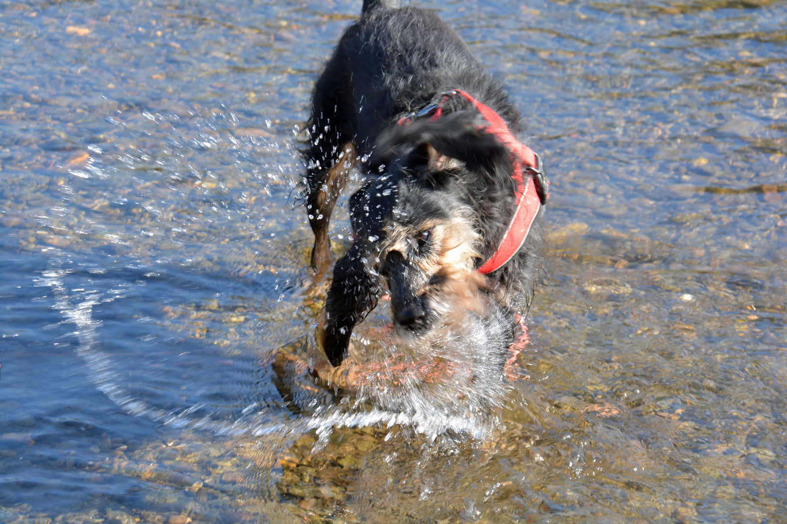 Wasserspiele