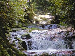 Wasserspiele