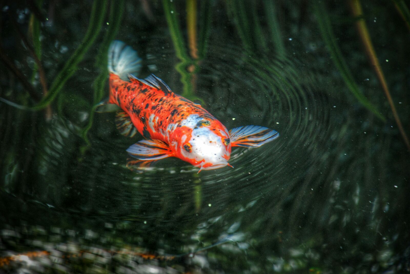 Wasserspiele