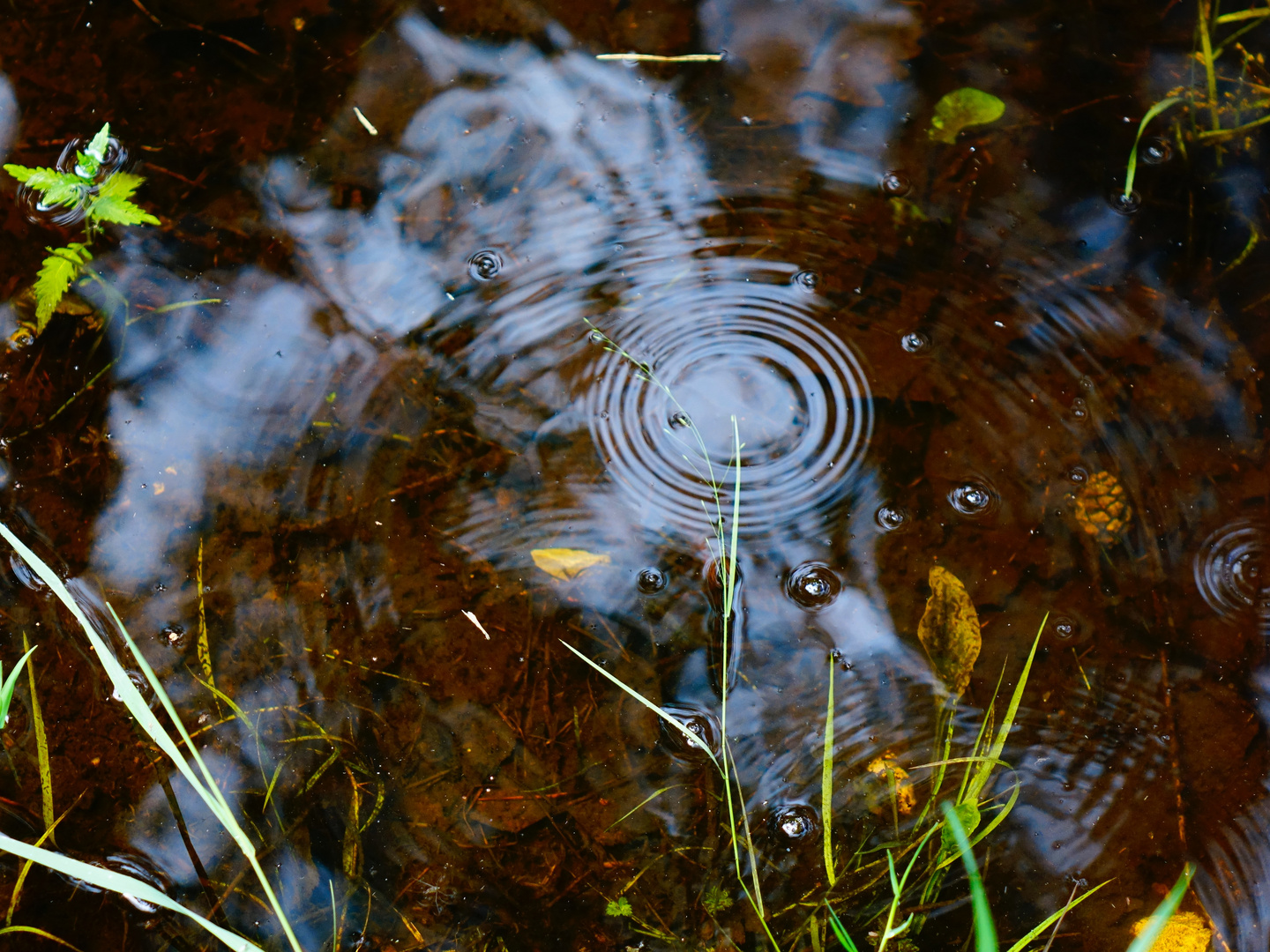 Wasserspiele