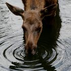 Wasserspiele