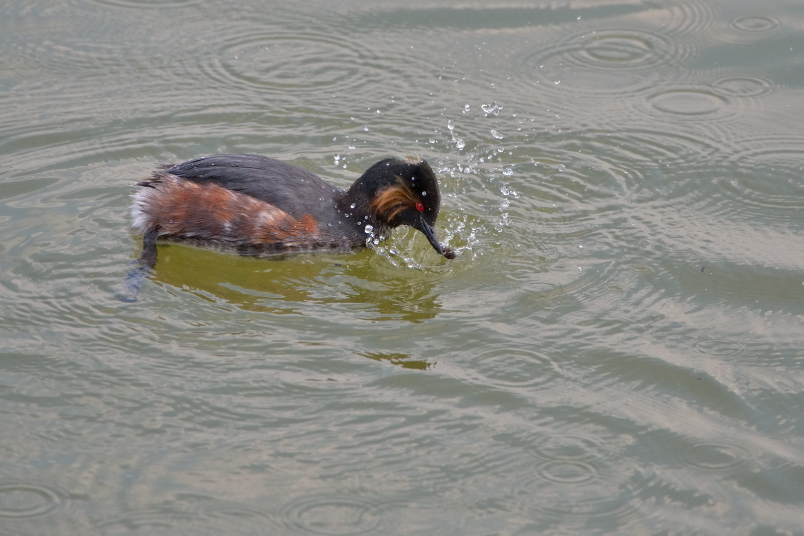 Wasserspiele