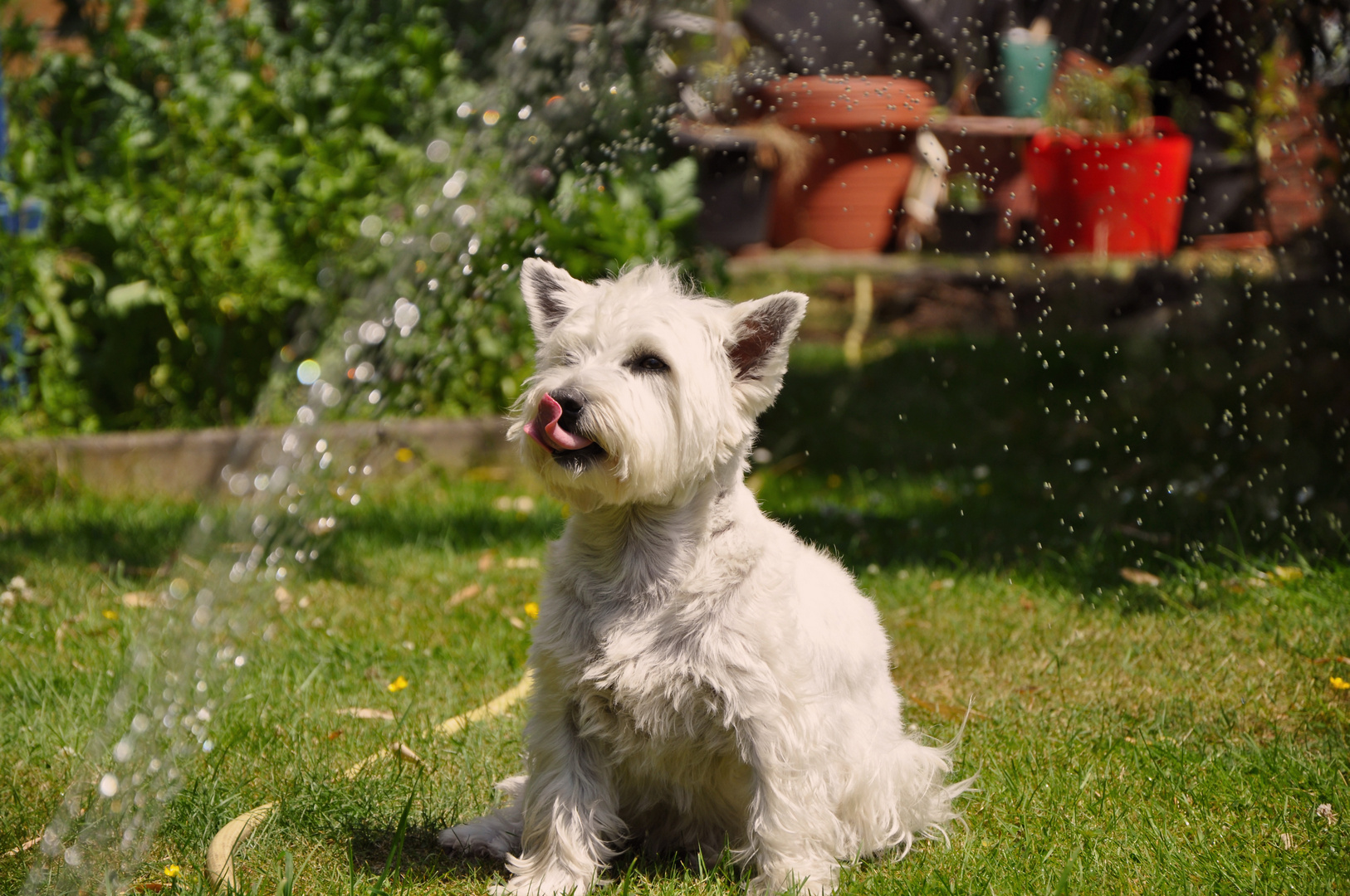 Wasserspiele