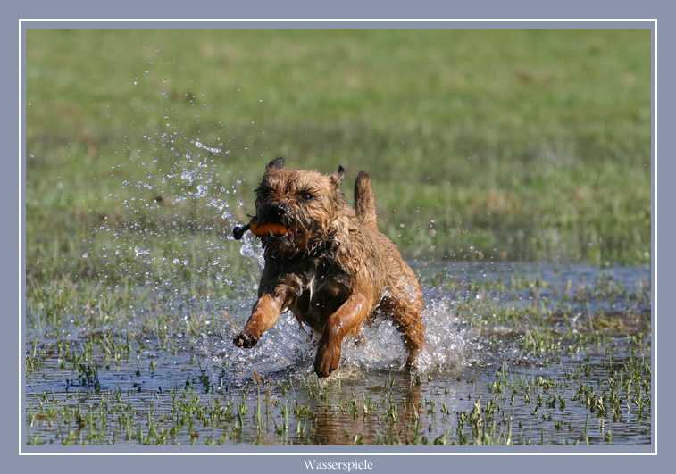 Wasserspiele