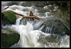 Wasserspiele