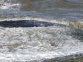 Wasserspiele von Anette Singscheidt 