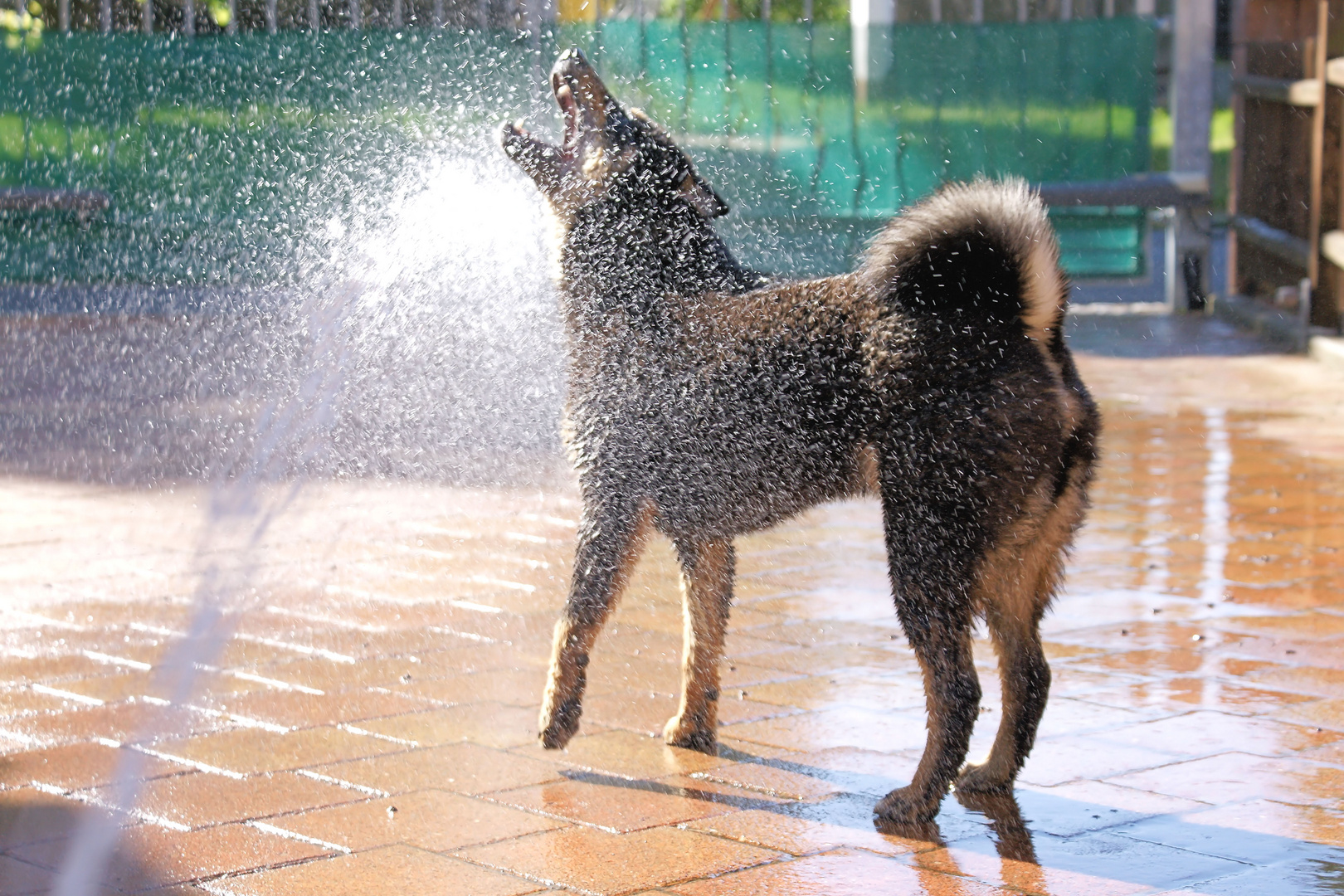 - Wasserspiele -