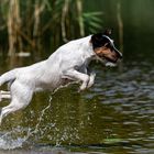 Wasserspiele