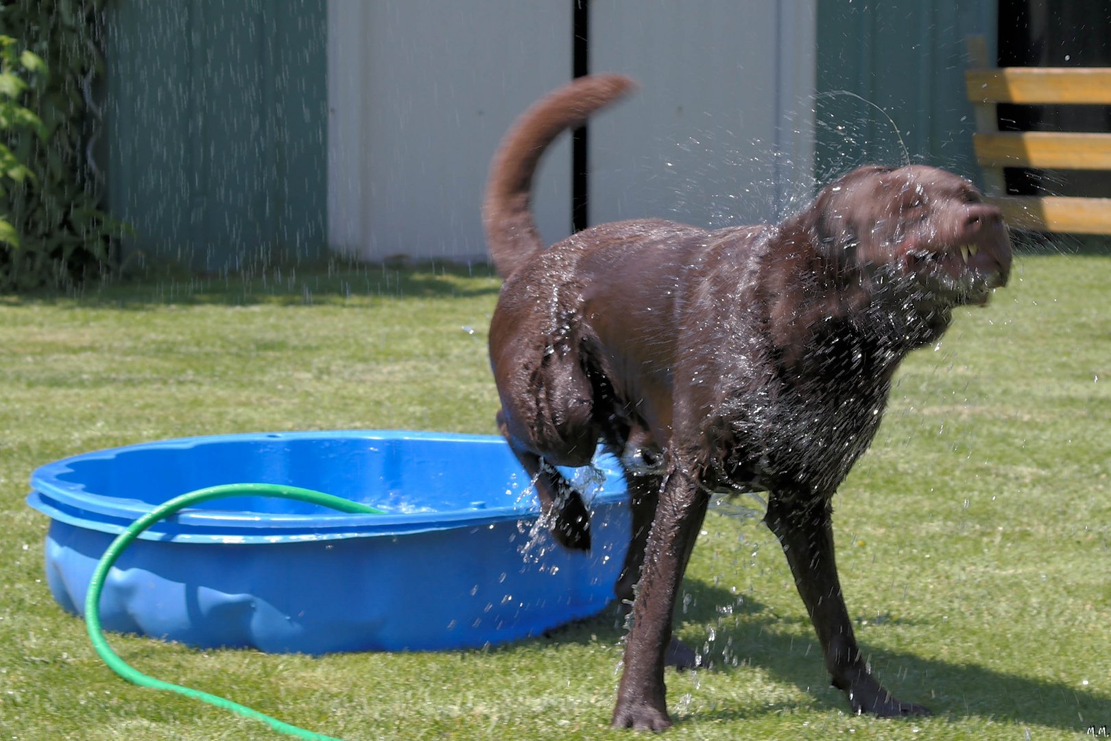 Wasserspiele