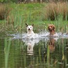 Wasserspiele