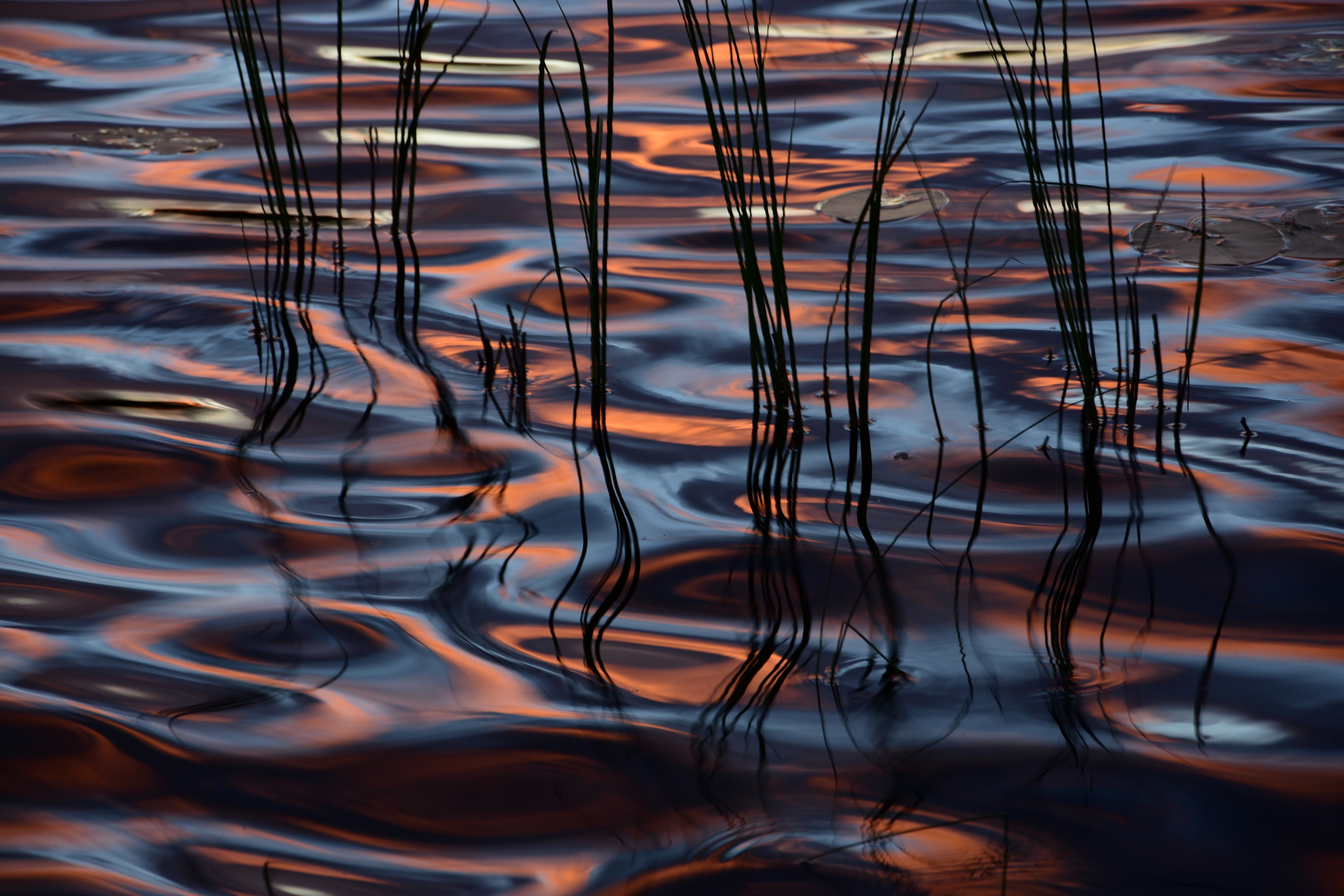 Wasserspiele