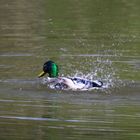 Wasserspiele